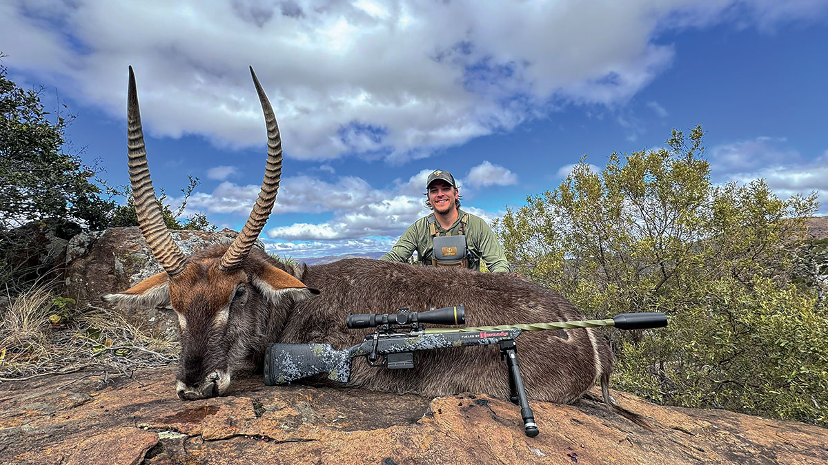 The fourth animal shot, a waterbuck, was the largest by far. We got close at 37 yards, this might have been my favorite animal shot, up to this point.